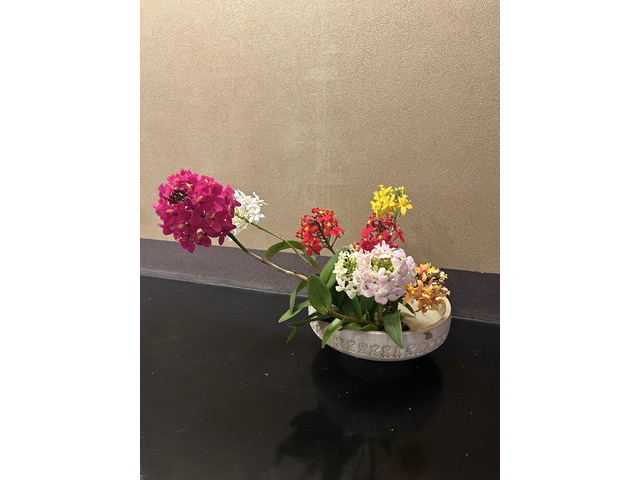 華道山村御流　　宇治教室