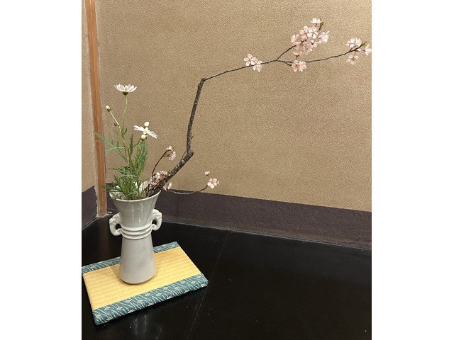 華道山村御流　　宇治教室