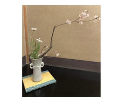 華道山村御流　　宇治教室