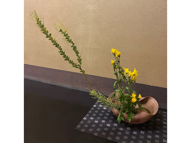 　宇治いけばな(山村御流)・茶道教室