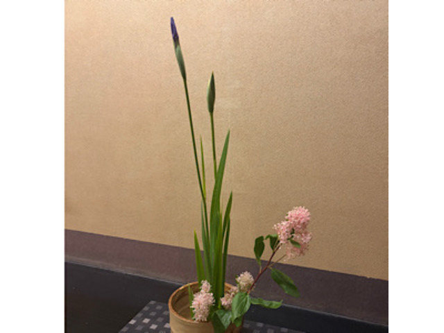 　宇治いけばな(山村御流)・茶道教室