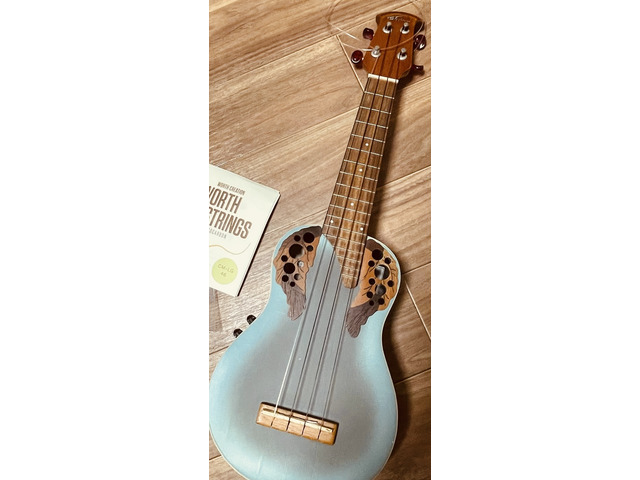 はじめてのウクレレ