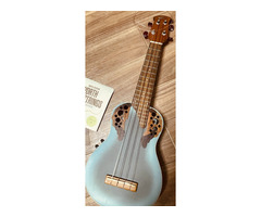 はじめてのウクレレ