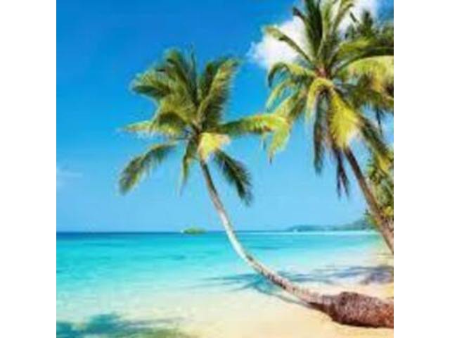 タイ語会話 旅も移住も30時間でスイスイ　